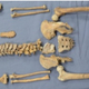 One of two male skeletons found inside the coffin.